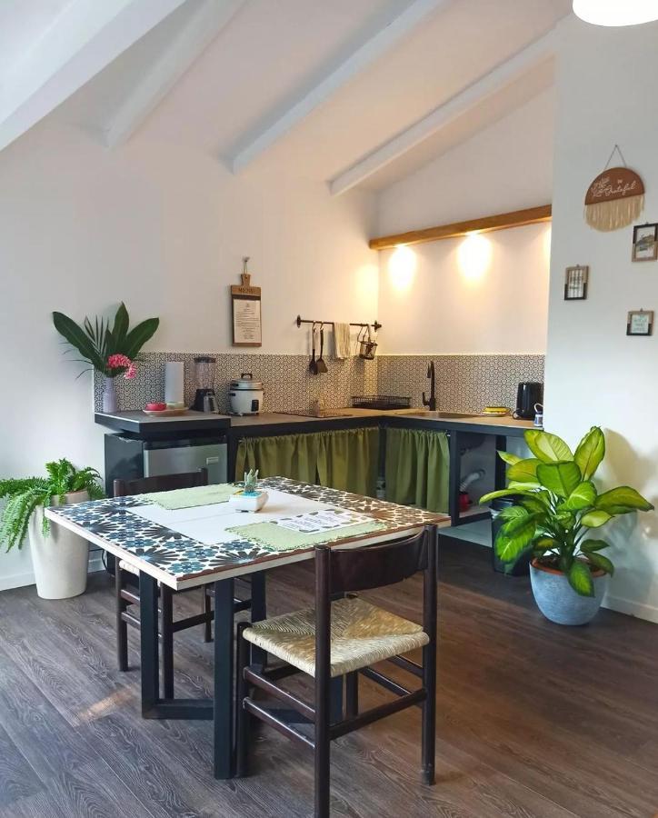 Chilamate Holiday House Puerto Viejo de Talamanca Экстерьер фото