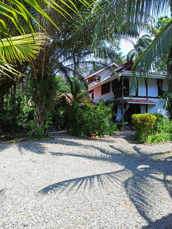 Chilamate Holiday House Puerto Viejo de Talamanca Экстерьер фото