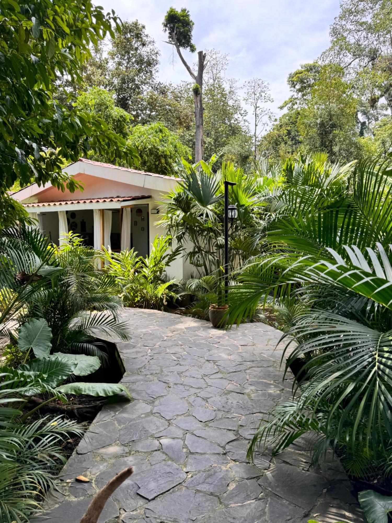 Chilamate Holiday House Puerto Viejo de Talamanca Экстерьер фото