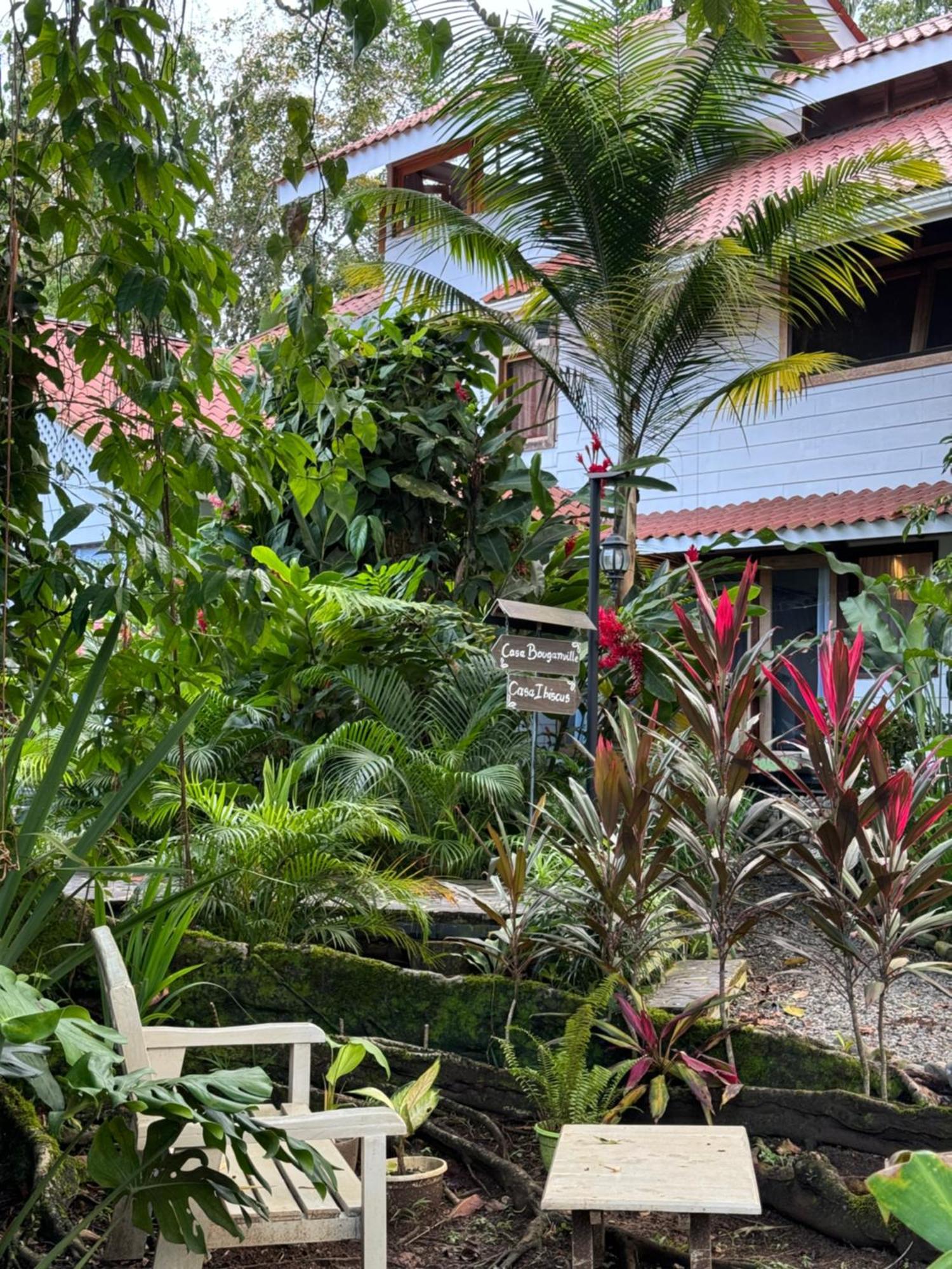 Chilamate Holiday House Puerto Viejo de Talamanca Экстерьер фото