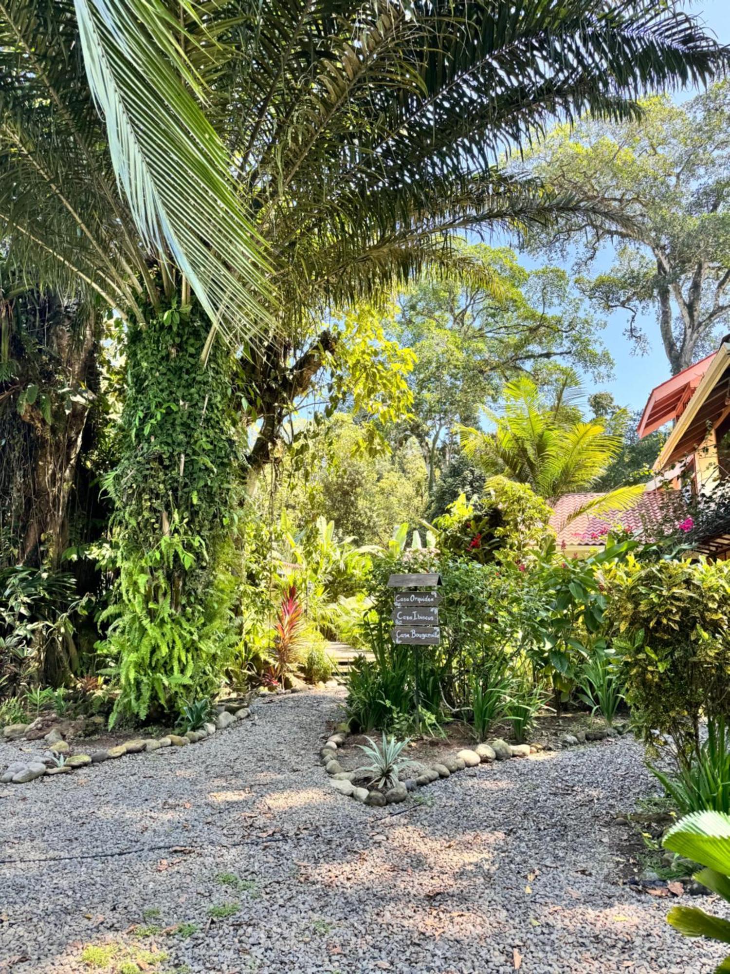 Chilamate Holiday House Puerto Viejo de Talamanca Экстерьер фото