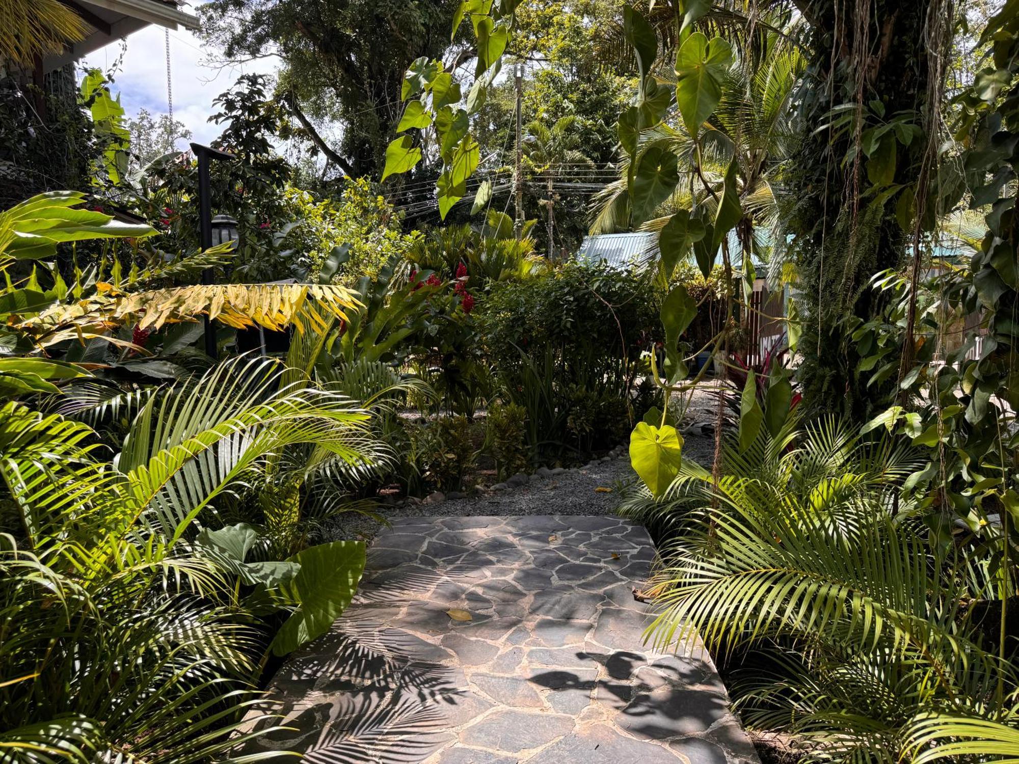 Chilamate Holiday House Puerto Viejo de Talamanca Экстерьер фото
